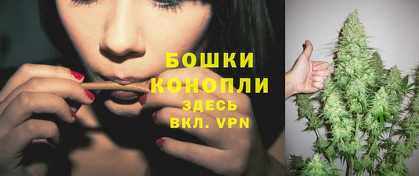ГАЛЛЮЦИНОГЕННЫЕ ГРИБЫ Беломорск