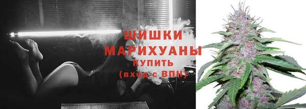 хмурый Богданович