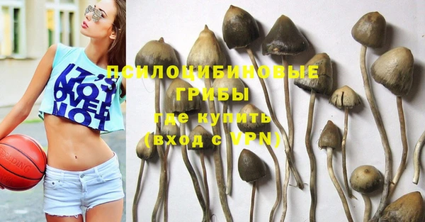 дурь Богородицк