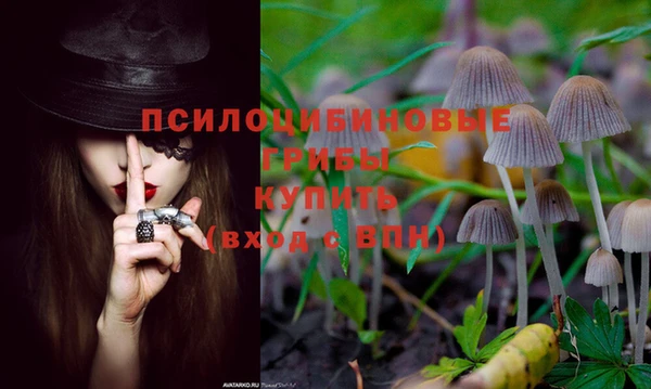 дурь Богородицк