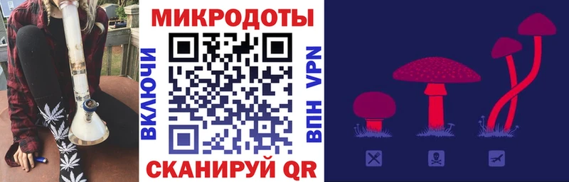 Галлюциногенные грибы Psilocybine cubensis  Керчь 